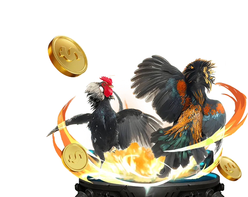 Người chơi chuyên nghiệp sử dụng ứng dụng 8XBET để đặt cược đá gà